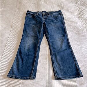 Anthropologie Pilcro and The Letterpress Blue Cropped Flare Stet Jeans Size 28